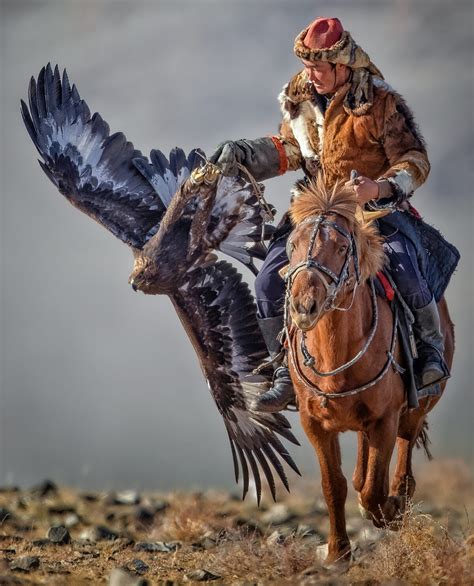 physical sign of eagle hunting|mongolian golden eagle hunters.